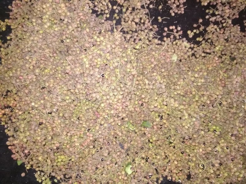 精品花椒