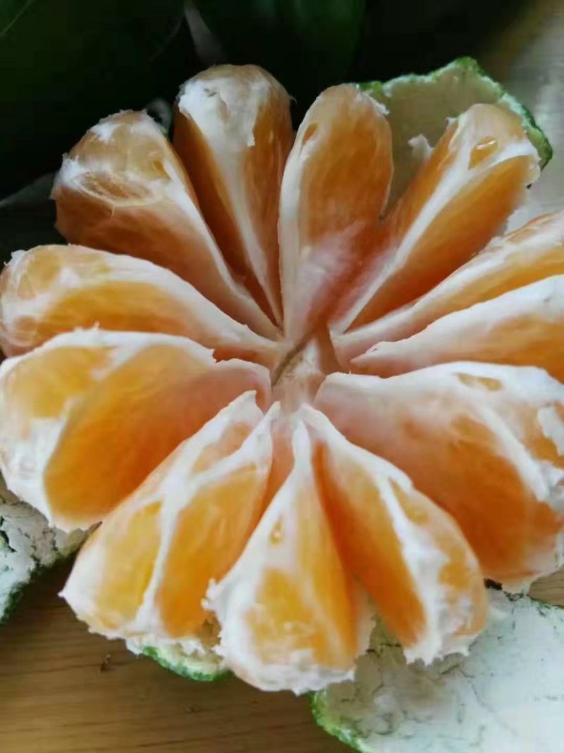 【🔥热卖🔥】湖北特早蜜橘规格齐全以质论价原产地货源