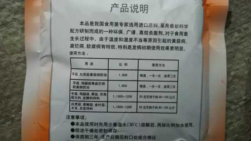平菇黄菇净黄蘑菇腐烂病黄菇病