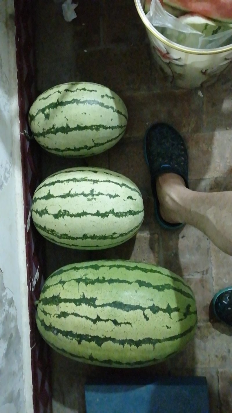 宁夏精品金花西瓜，口感好，大量有货欢迎订购。