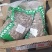 川断续断接骨草两斤斤以上农家初选农副产品