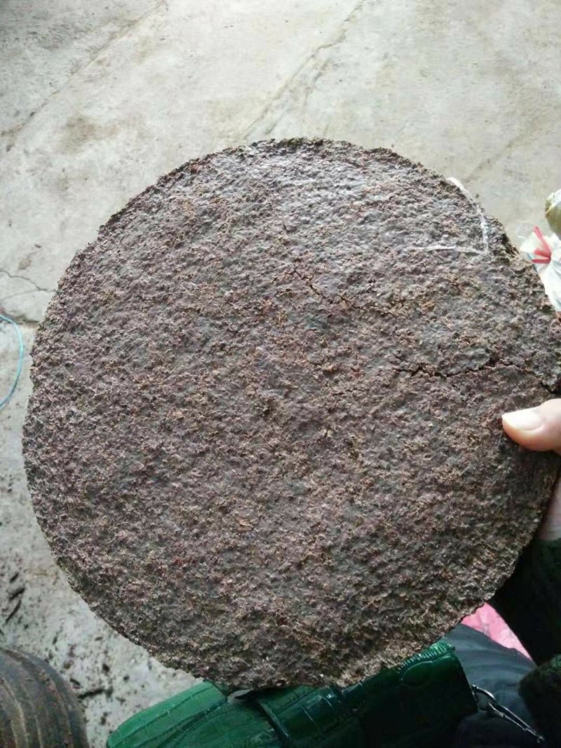 广西正宗传统压榨小籽山茶油茶籽油