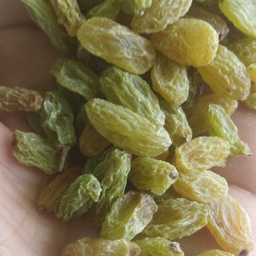新疆吐鲁番绿无核绿葡萄干一级绿宝石葡萄干