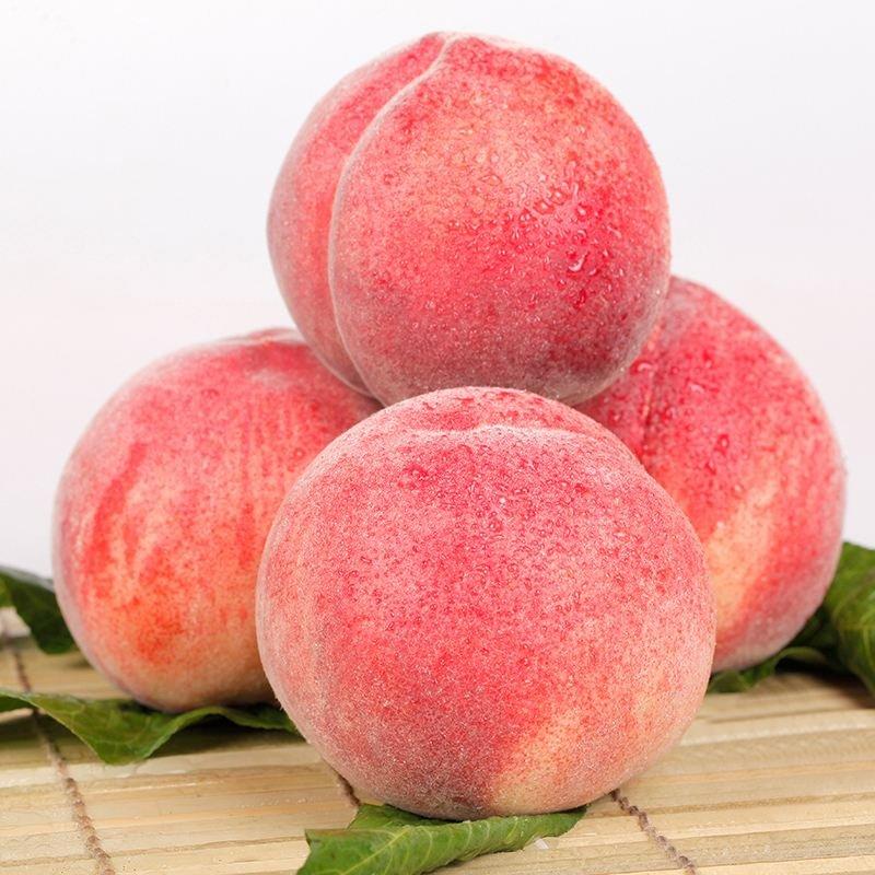 现摘现发桃子包邮当季水果新鲜时令毛桃孕妇脆桃水蜜桃甜血桃