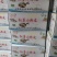精品迷你小粉皮厂家直销一手货源欢迎老板来电询价