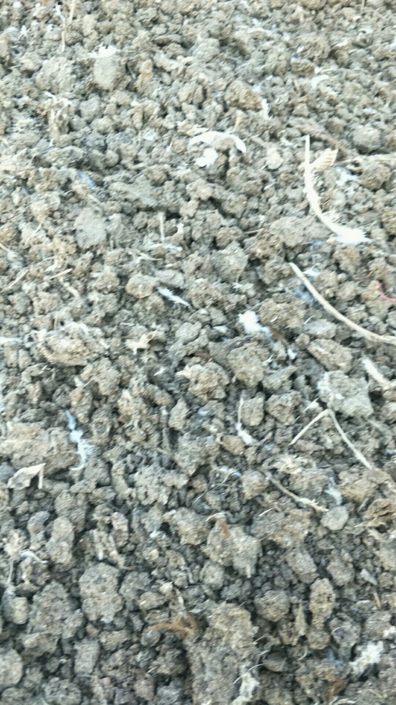 山东省德州市夏津县，出售有机肥干鸡粪保质保量