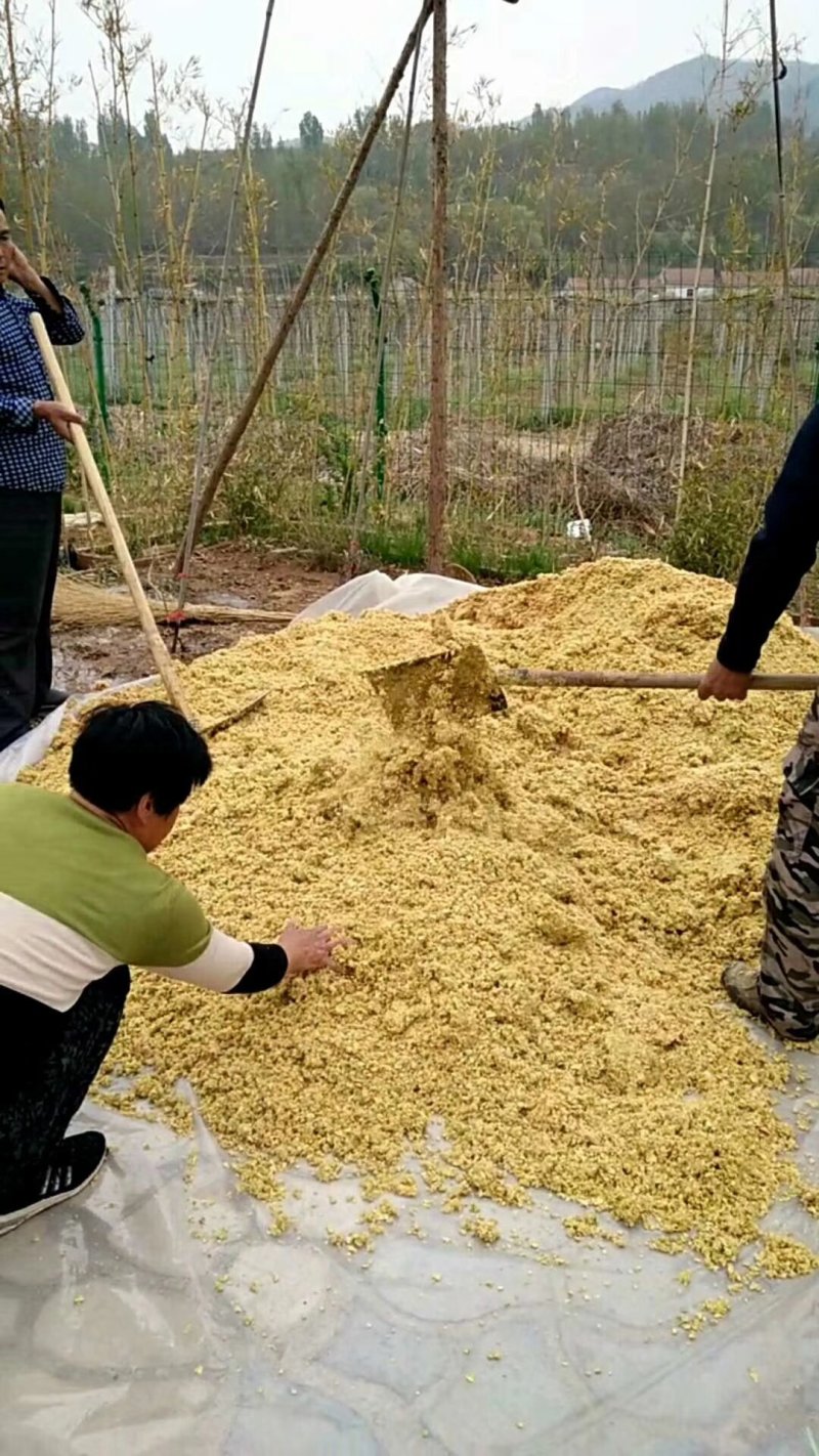 山东博山源泉猕猴桃
