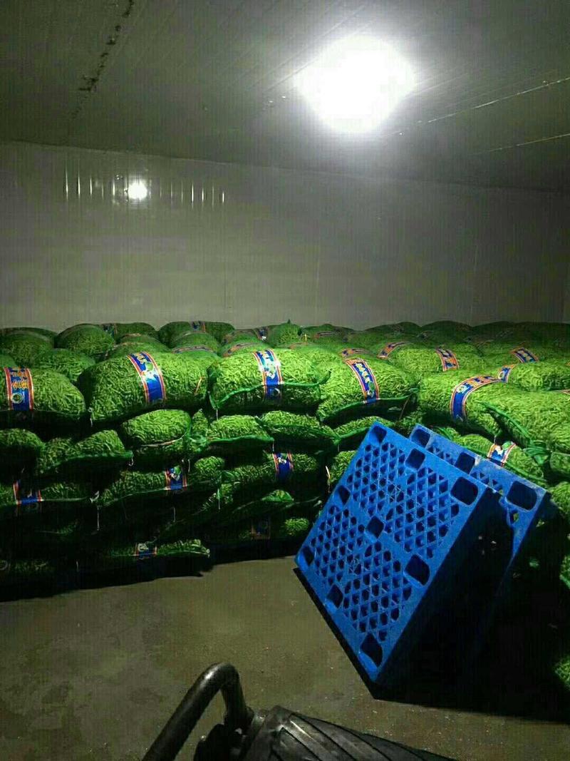 —绿宝石毛豆-基地直供-货源充足-保证质量