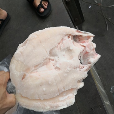开背腌制巴沙鱼，探鱼同款，同越南工厂