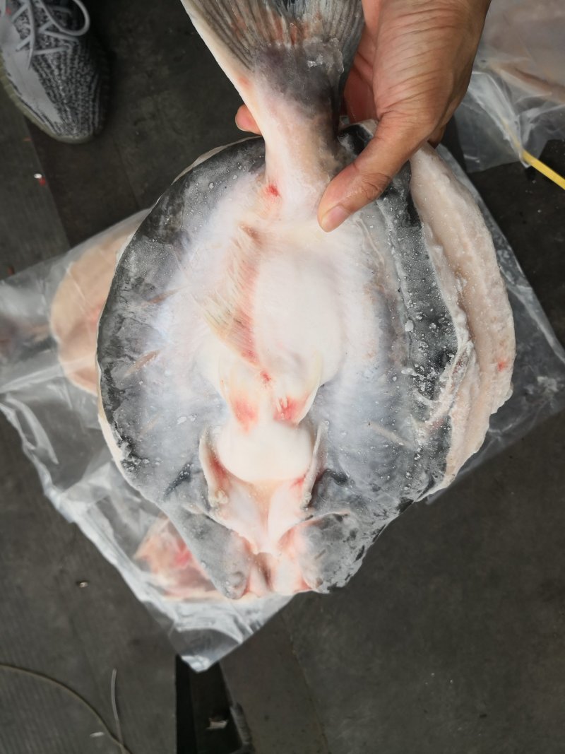 开背腌制巴沙鱼，探鱼同款，同越南工厂