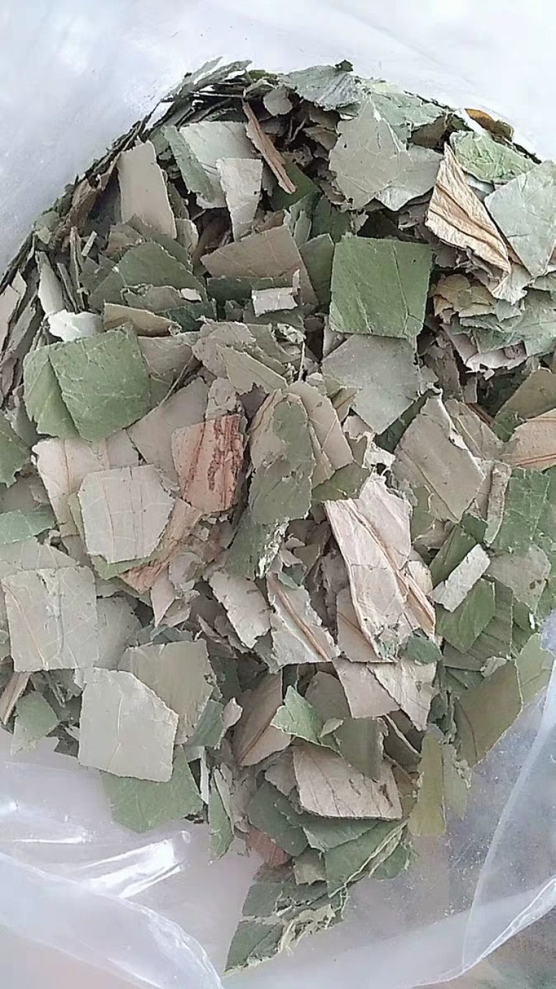 干荷叶干货荷叶片农家初选农副产品1234