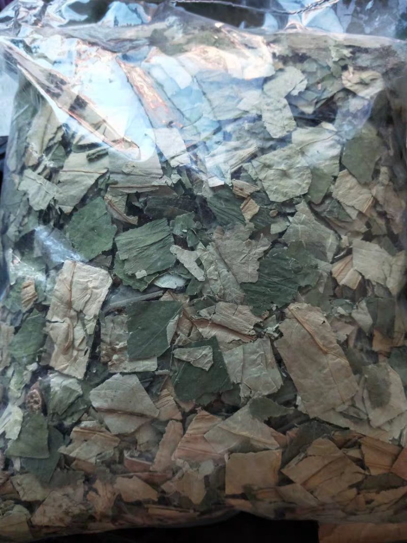 干荷叶干货荷叶片农家初选农副产品1234