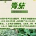 高产早熟抗病耐储运10克2000粒茄子种子
