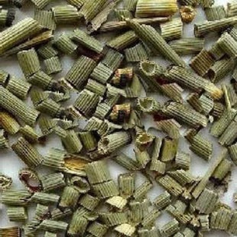 中药材节节草木贼草野生节骨草农家初选