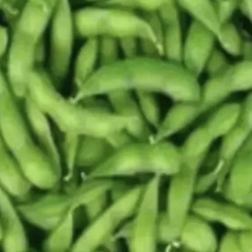 翠绿宝毛豆-基地直供-保证质量-货源充足