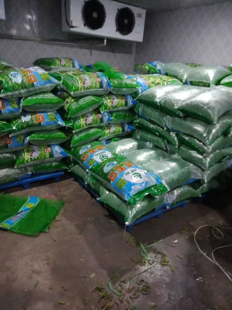 翠绿宝毛豆-基地直供-保证质量-货源充足