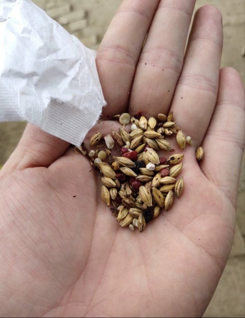 谯春堂红豆薏米茶4g*30小包