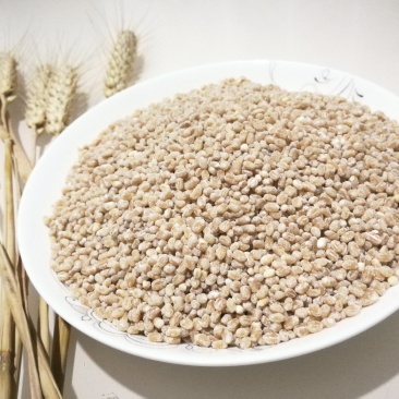 散装粥米小麦仁500克批发零售