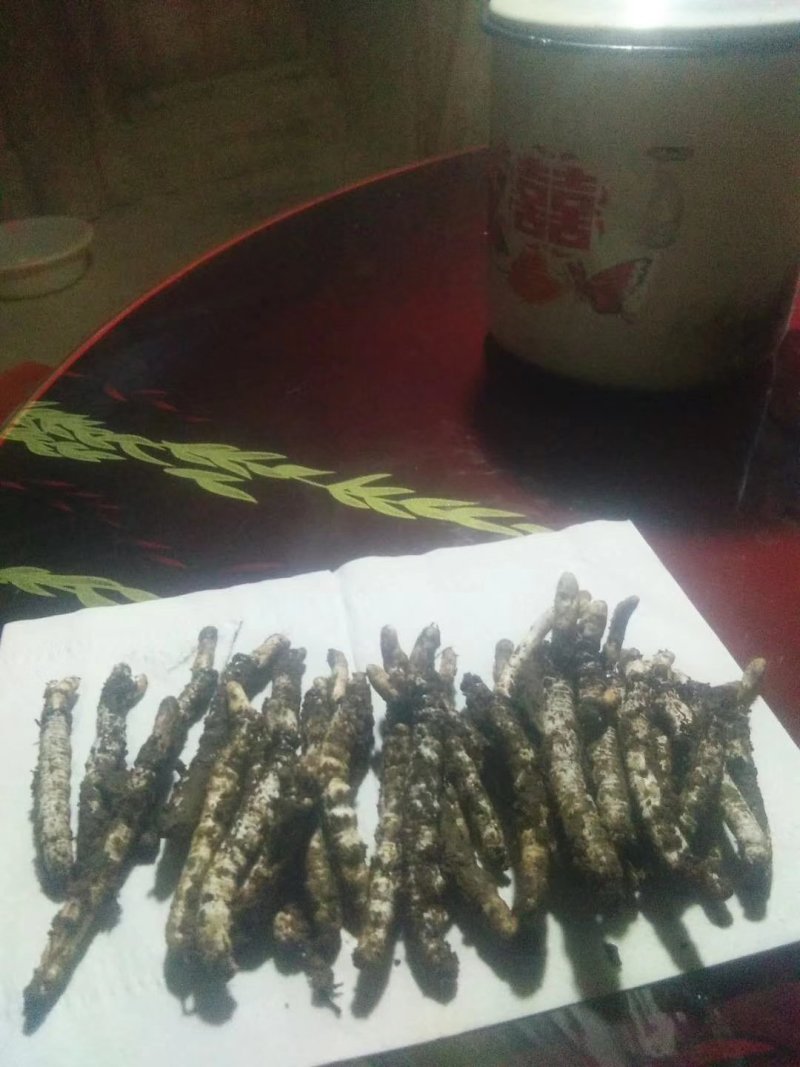 低价处理虫草等药材假一赔十