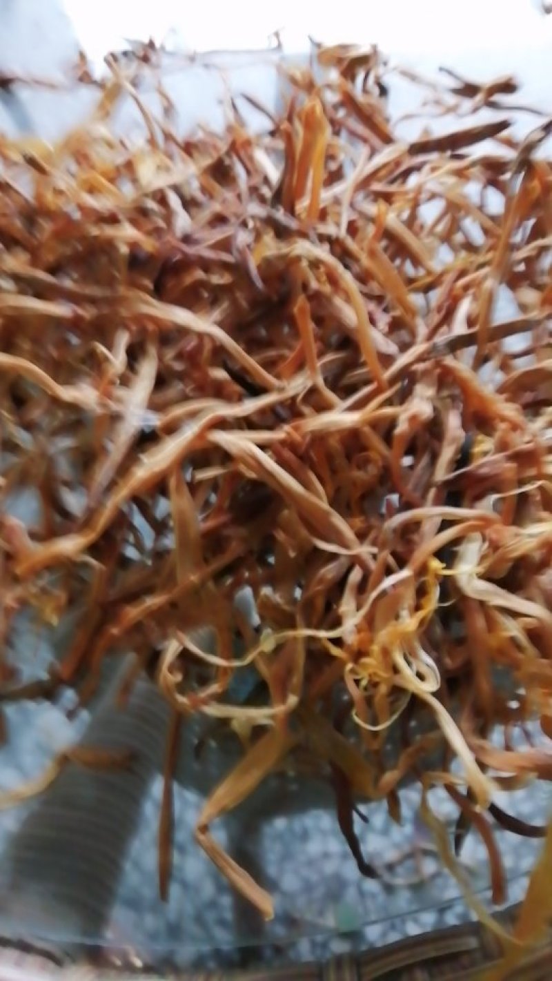 便宜黄菜量大从优