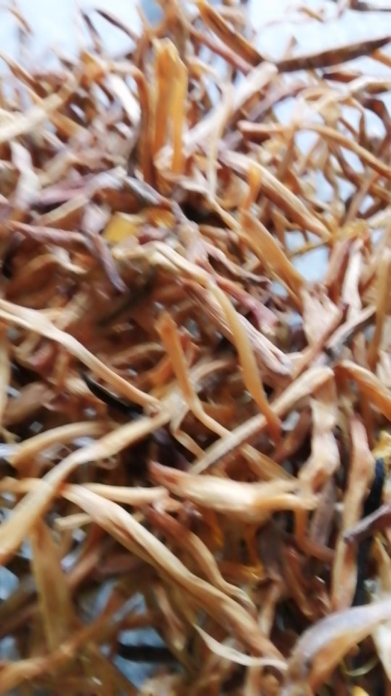 便宜黄菜量大从优