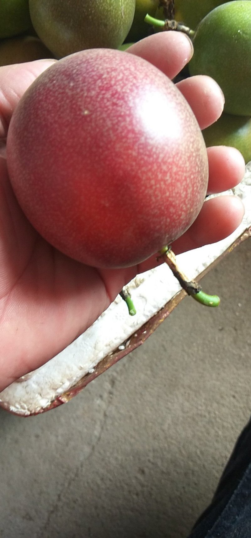 赣南百香果，寻乌百香果，种植基地直达，常年大量供应。