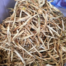 黄花菜干货菜干金黄花20斤起