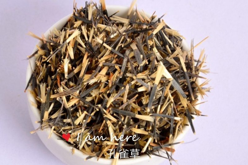 孔雀草：甘肃产地直供