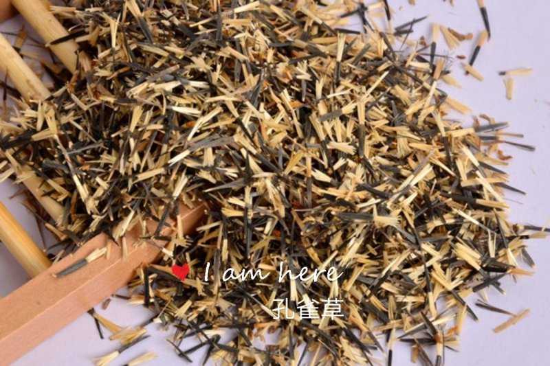 孔雀草：甘肃产地直供