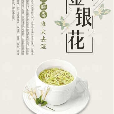 金银花茶礼品包装，产地直销