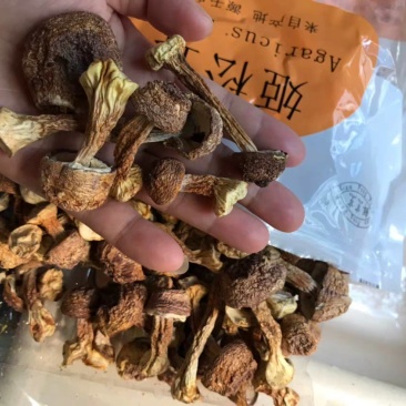 干品姬松茸姬松菇小货农家初选农副土特产品