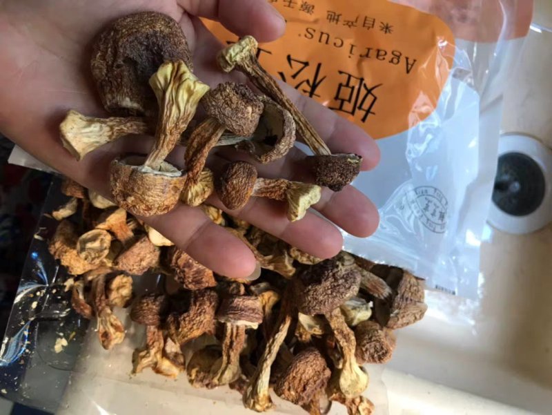 干品姬松茸姬松菇小货农家初选农副土特产品