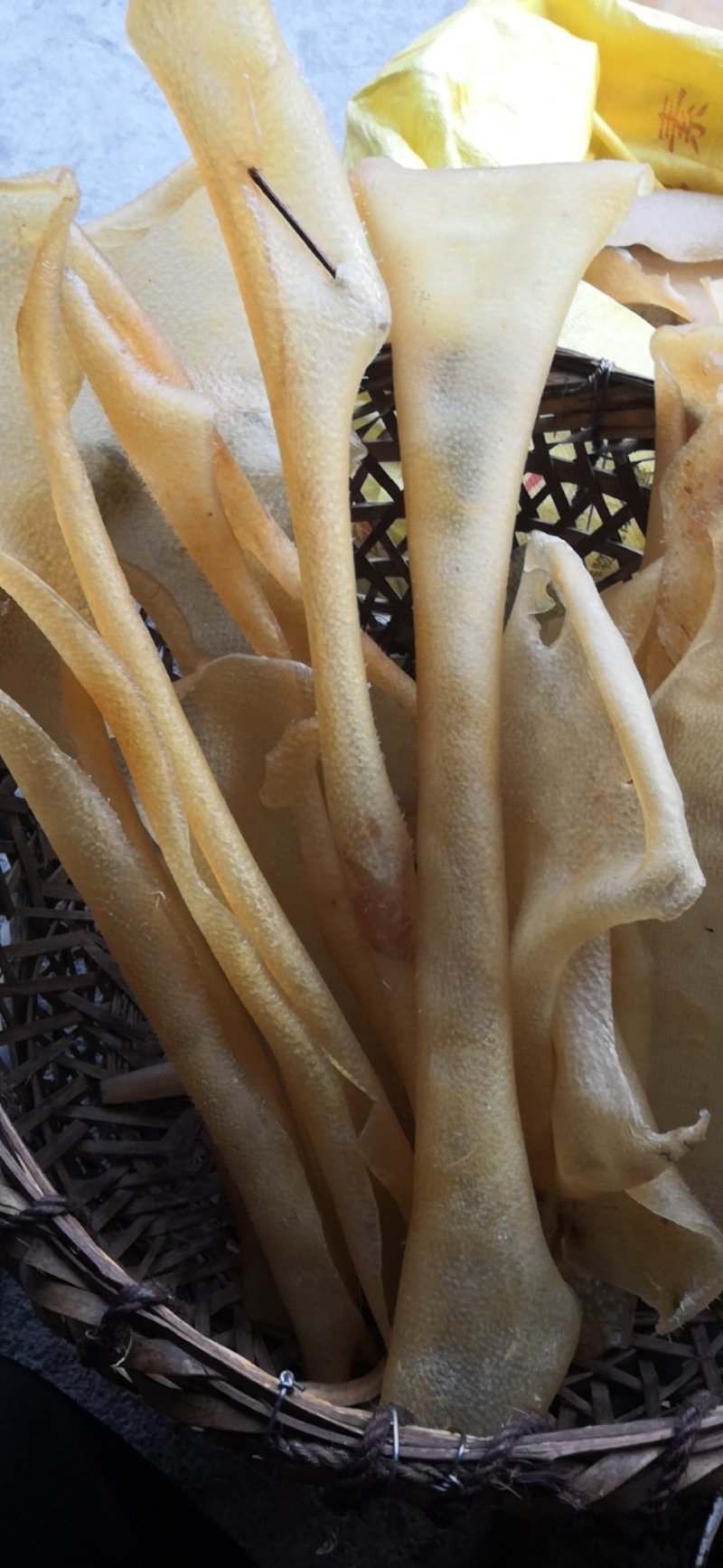 特厚干猪皮