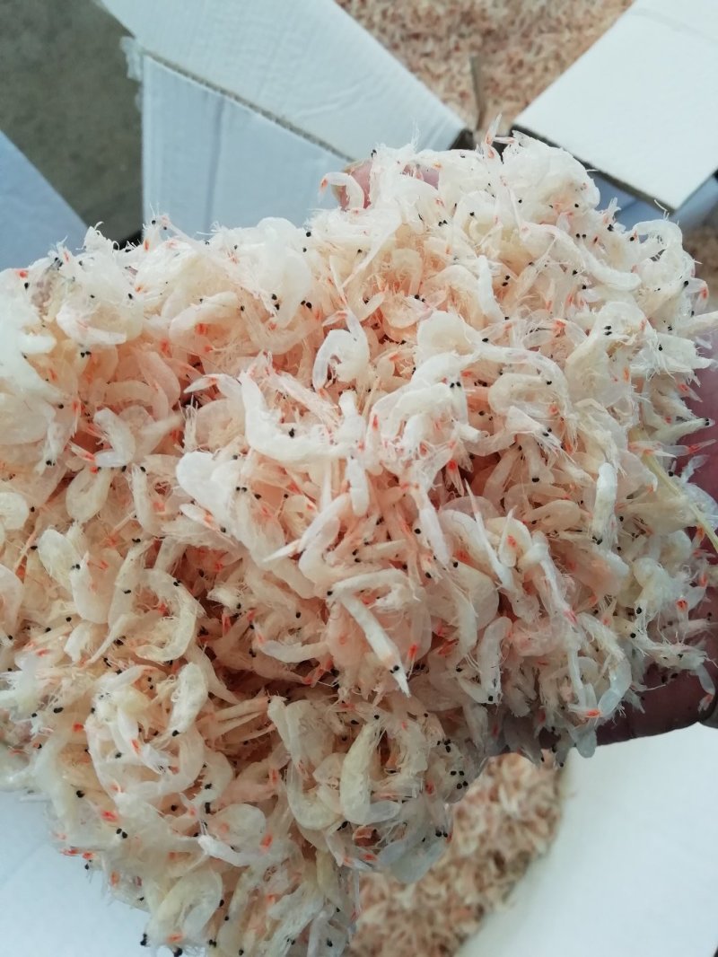咸，淡干虾皮，