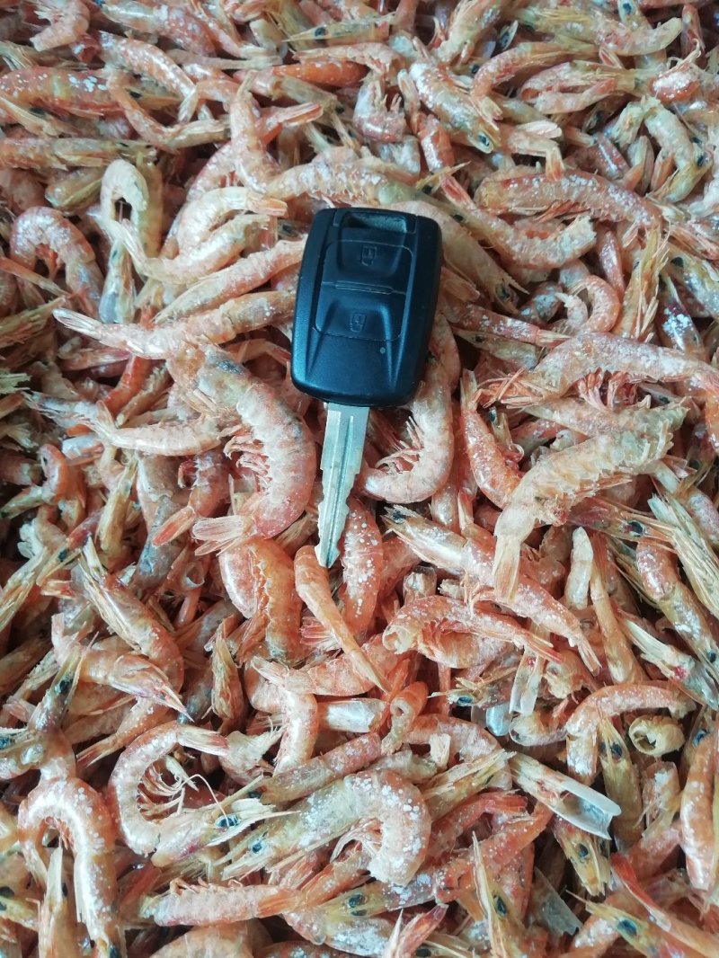 咸，淡干虾皮，
