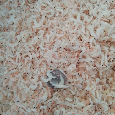 咸，淡干虾皮，