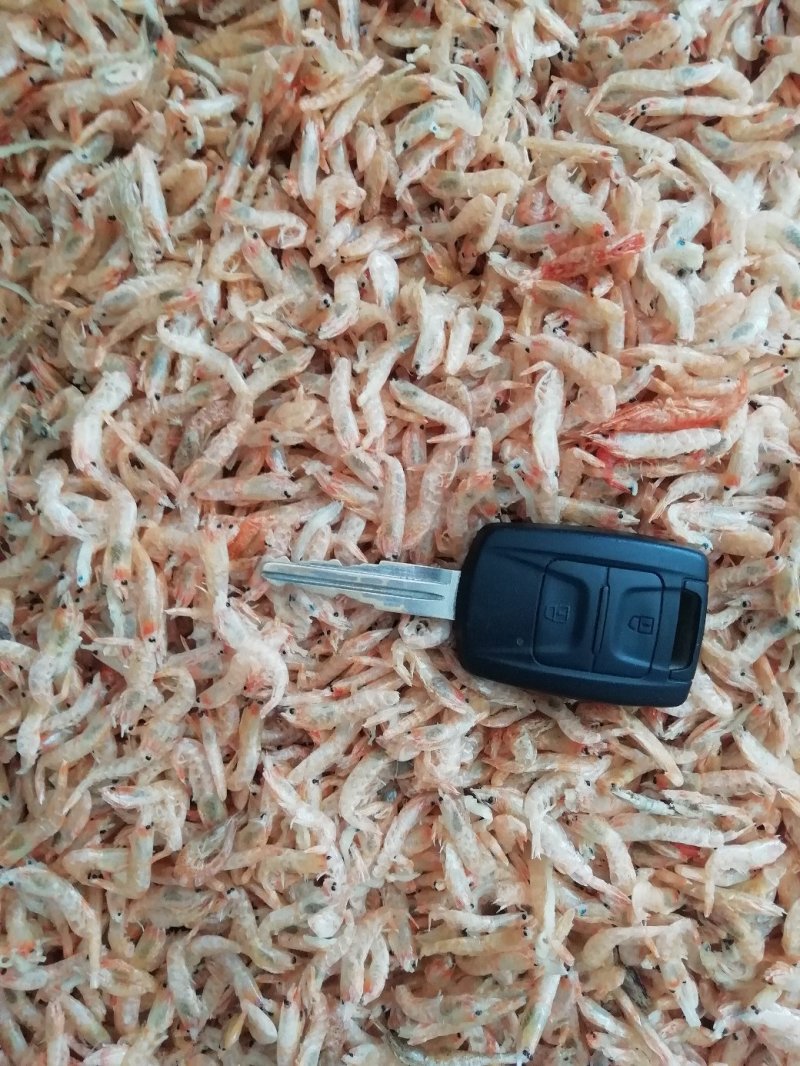 咸，淡干虾皮，