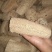丝瓜络大量现货量大从优价格实惠欢迎电话联系