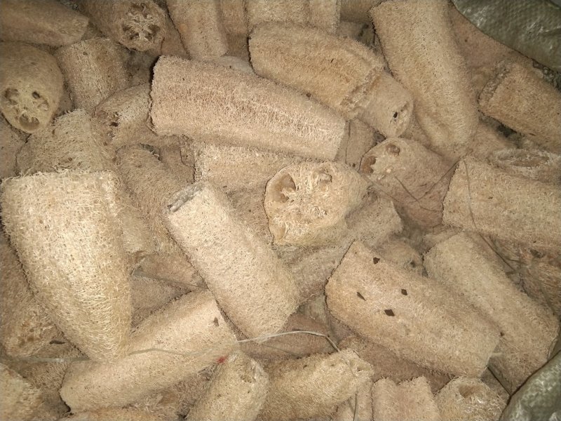 丝瓜络大量现货量大从优价格实惠欢迎电话联系