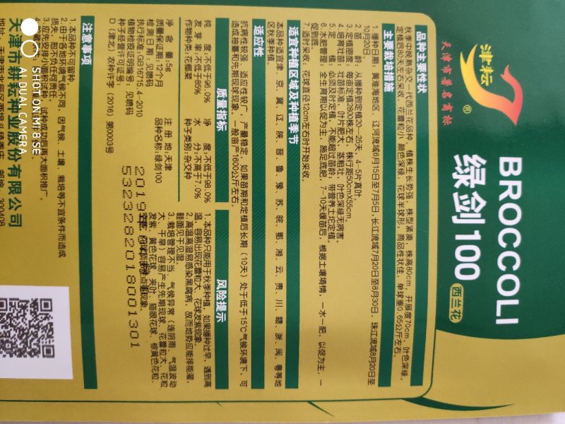 西兰花品种绿剑100西兰花品种