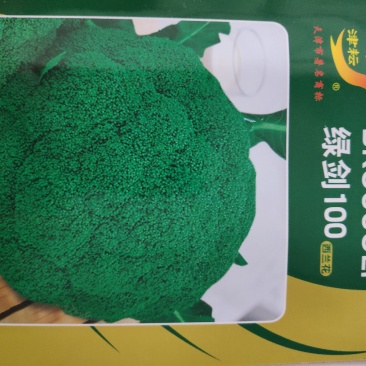 西兰花种子绿剑100西兰花种子