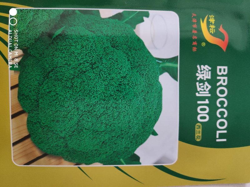 西兰花种子绿剑100西兰花种子