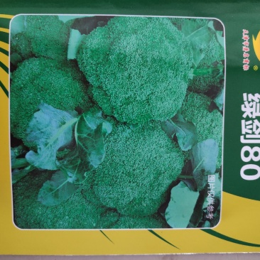 西兰花种子绿剑80西兰花种子