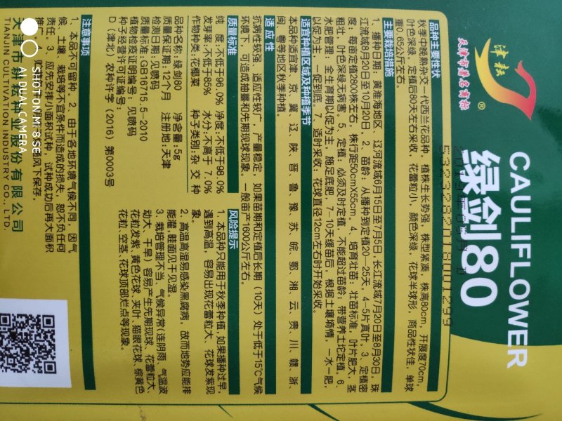 西兰花种子绿刭80西兰花种子