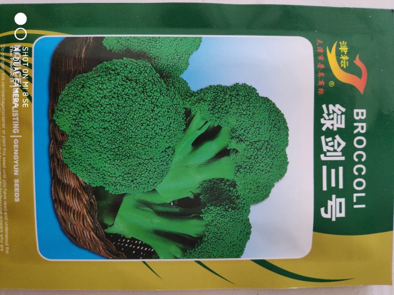 西兰花种子绿剑三号西兰花种子