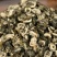 【精品】云南大叶种绿茶1号碧螺春茶气足手工耐泡一芽一叶