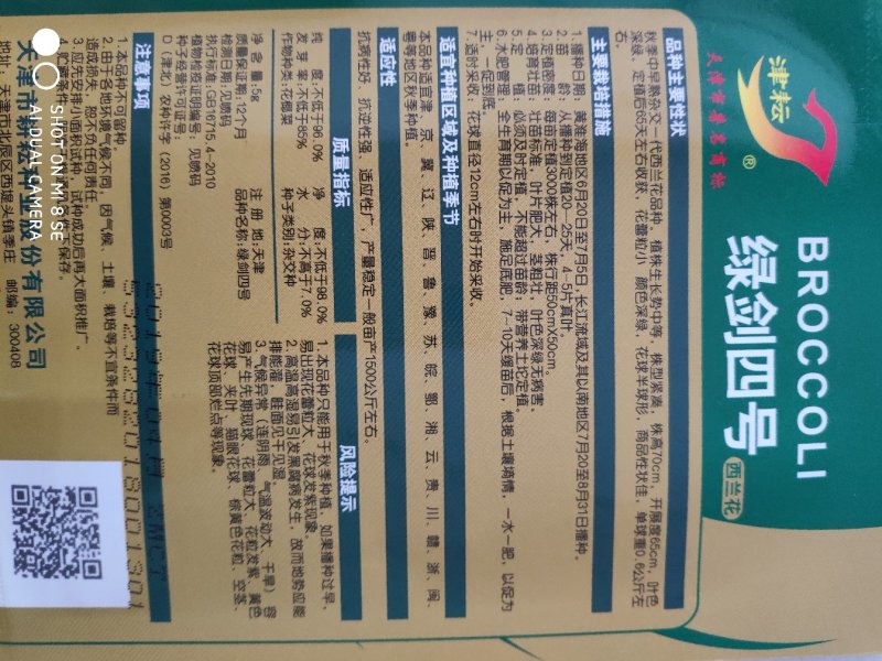 西兰花种子绿剑四号西兰花种子