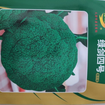西兰花种子绿剑四号西兰花种子