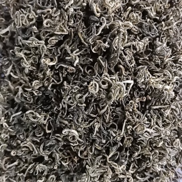 高山绿茶