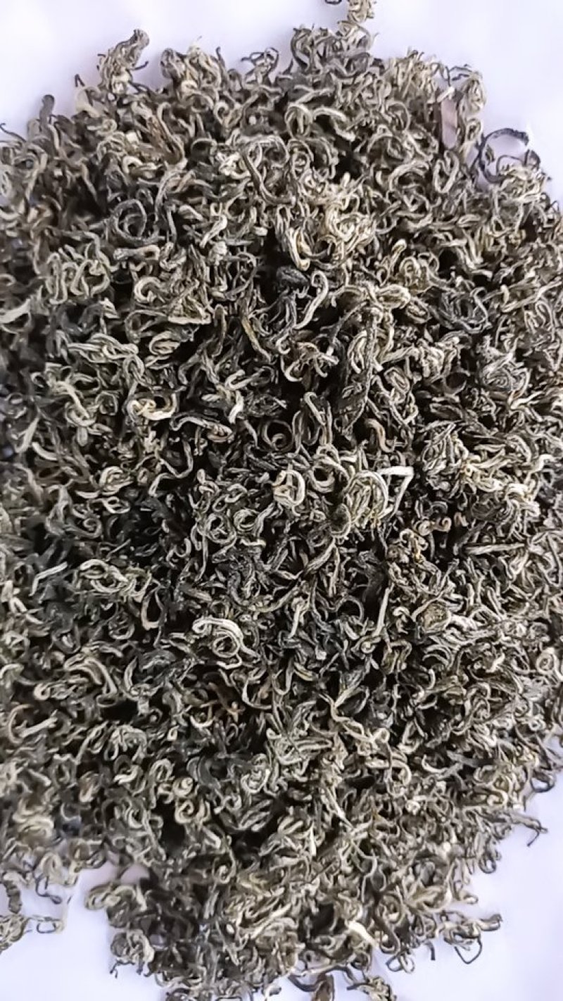 高山绿茶